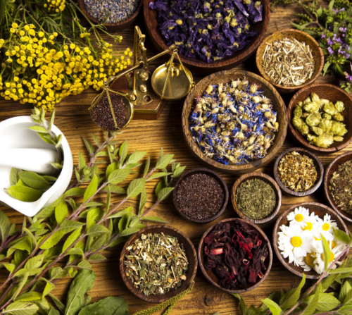 Temperos naturais podem curar doenças