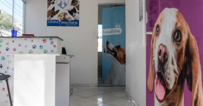 Clínica Veterinária Municipal é invadida e objetos são furtados por ladrões