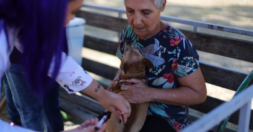 Campanha de Vacinação Antirrábica terá início neste sábado, 26, em Volta Redonda