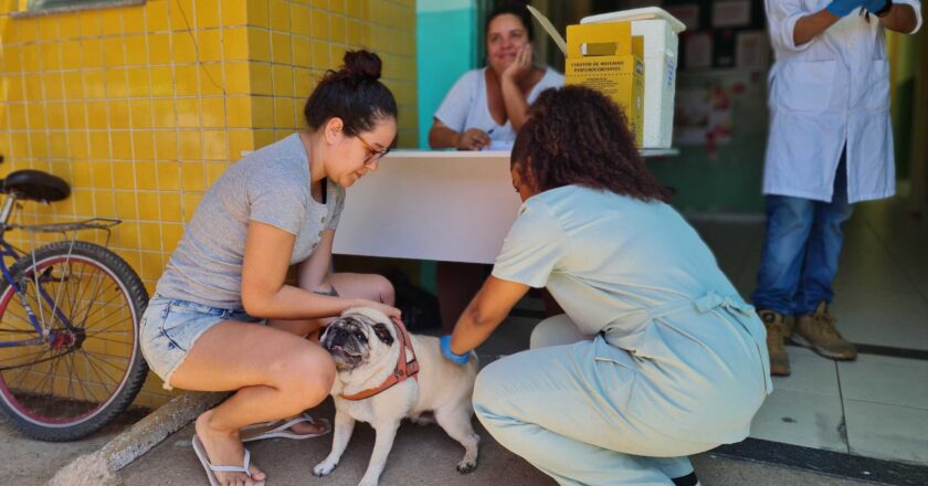 Campanha de vacinação antirrábica termina com resultados positivos em Barra Mansa