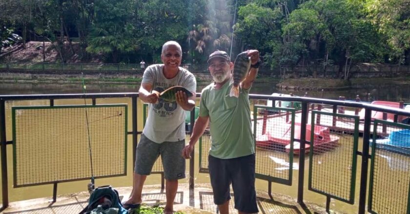 Projeto Zoo-Volta Redonda ‘Pesque e Não Pague’ recebe 300 quilos de tilápia