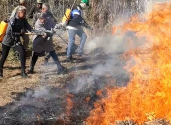 Barra Mansa abre inscrições para curso de formação de brigadista voluntário