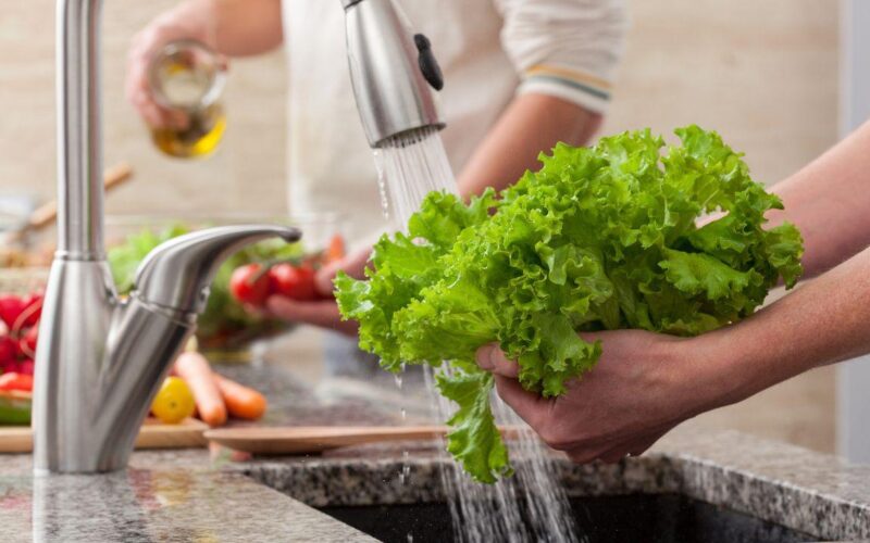 Como escolher e higienizar frutas e verduras