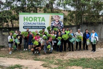 Horta comunitária do bairro Brasilândia realiza primeira colheita em Volta Redonda