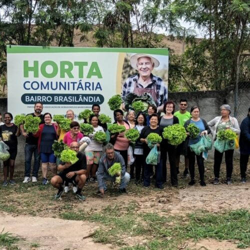 Horta comunitária do bairro Brasilândia realiza primeira colheita em Volta Redonda