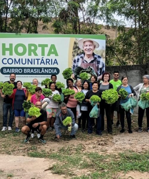 Horta comunitária do bairro Brasilândia realiza primeira colheita em Volta Redonda