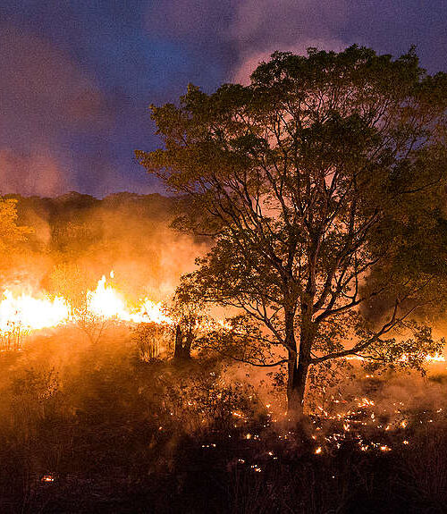 Procuradoria da República no estado promove evento para discutir estratégias de enfrentamento aos desafios das mudanças climáticas