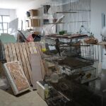 Operação ‘Animal Não é Produto’ apreende mais de 300 animais em oito dias em Volta Redonda